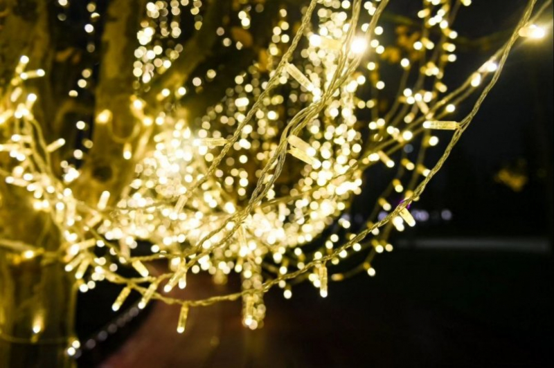 Одно из самых популярных мест в Краснодаре захватывает Новый год