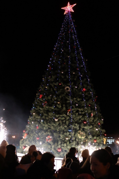 Колючий рейтинг: ТОП самых высоких новогодних ёлок Ставрополья