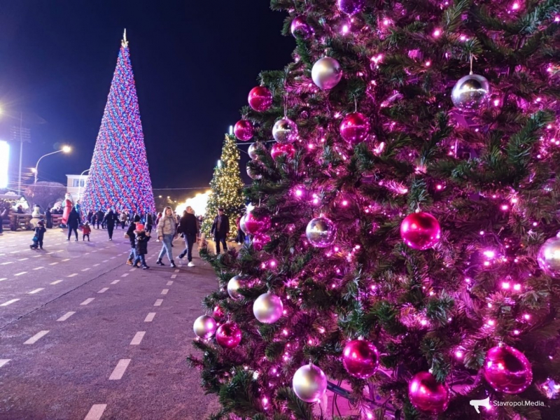 Колючий рейтинг: ТОП самых высоких новогодних ёлок Ставрополья