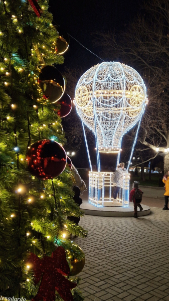 Самая высокая ёлка в Ставрополе: ТОП новогодних деревьев по городам Юга России