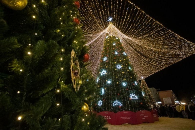 Самая высокая ёлка в Ставрополе: ТОП новогодних деревьев по городам Юга России