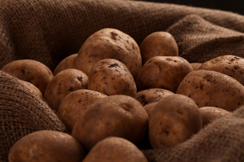 Эта 3 малоизвестных приема весной с грядками дадут мощный урожай картошки в 90%